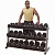 набор гантелей 10 пар от 2,25кг.до 22,5 кг body solid sdrs550